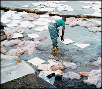 OIL NETS/DRAG NETS